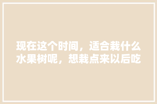 现在这个时间，适合栽什么水果树呢，想栽点来以后吃，水果什么季节种植最好吃。 现在这个时间，适合栽什么水果树呢，想栽点来以后吃，水果什么季节种植最好吃。 土壤施肥