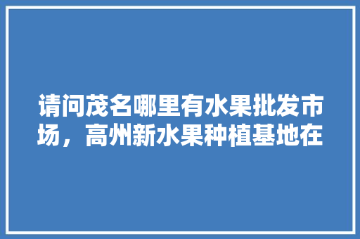 请问茂名哪里有水果批发市场，高州新水果种植基地在哪里。 请问茂名哪里有水果批发市场，高州新水果种植基地在哪里。 土壤施肥