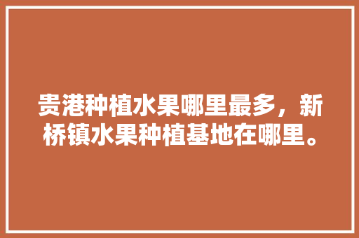 贵港种植水果哪里最多，新桥镇水果种植基地在哪里。 贵港种植水果哪里最多，新桥镇水果种植基地在哪里。 蔬菜种植