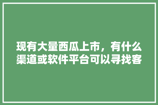 现有大量西瓜上市，有什么渠道或软件平台可以寻找客商，谢谢，即墨金枣水果种植基地在哪里。 现有大量西瓜上市，有什么渠道或软件平台可以寻找客商，谢谢，即墨金枣水果种植基地在哪里。 畜牧养殖