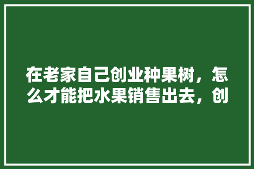 在老家自己创业种果树，怎么才能把水果销售出去，创业种植水果项目有哪些。 畜牧养殖