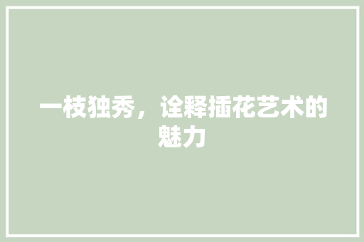 一枝独秀，诠释插花艺术的魅力 土壤施肥