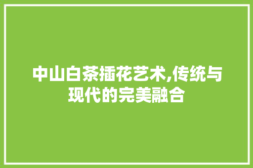 中山白茶插花艺术,传统与现代的完美融合 水果种植