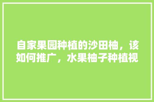 自家果园种植的沙田柚，该如何推广，水果柚子种植视频大全图片。 家禽养殖