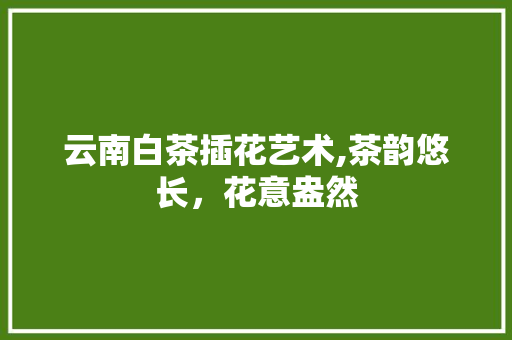 云南白茶插花艺术,茶韵悠长，花意盎然