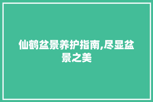 仙鹤盆景养护指南,尽显盆景之美