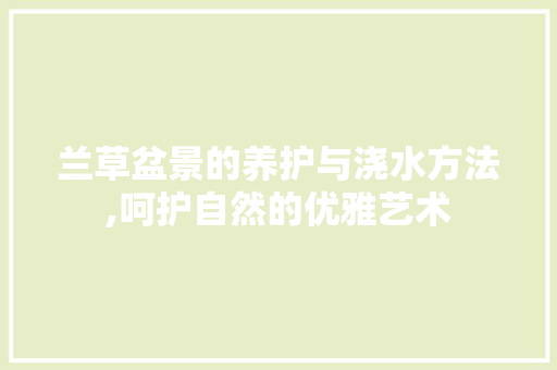 兰草盆景的养护与浇水方法,呵护自然的优雅艺术