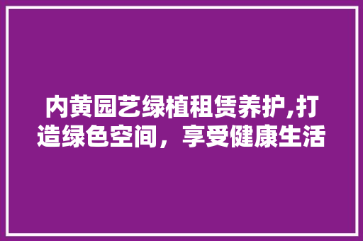 内黄园艺绿植租赁养护,打造绿色空间，享受健康生活