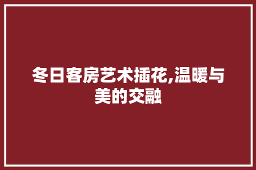 冬日客房艺术插花,温暖与美的交融