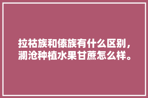 拉祜族和傣族有什么区别，澜沧种植水果甘蔗怎么样。 拉祜族和傣族有什么区别，澜沧种植水果甘蔗怎么样。 蔬菜种植