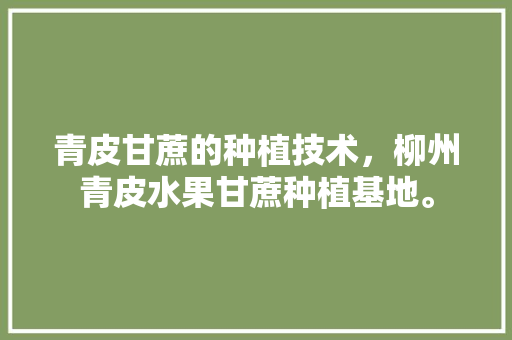 青皮甘蔗的种植技术，柳州青皮水果甘蔗种植基地。 青皮甘蔗的种植技术，柳州青皮水果甘蔗种植基地。 蔬菜种植