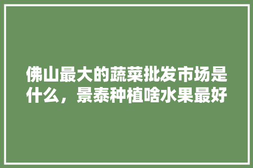 佛山最大的蔬菜批发市场是什么，景泰种植啥水果最好。 佛山最大的蔬菜批发市场是什么，景泰种植啥水果最好。 土壤施肥