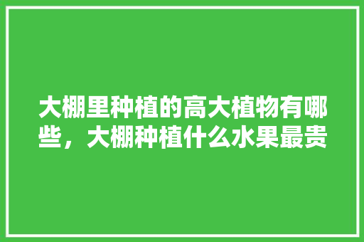 大棚里种植的高大植物有哪些，大棚种植什么水果最贵的。 大棚里种植的高大植物有哪些，大棚种植什么水果最贵的。 蔬菜种植