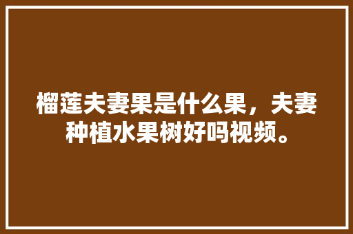 榴莲夫妻果是什么果，夫妻种植水果树好吗视频。 榴莲夫妻果是什么果，夫妻种植水果树好吗视频。 土壤施肥