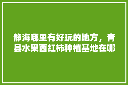 静海哪里有好玩的地方，青县水果西红柿种植基地在哪里。 静海哪里有好玩的地方，青县水果西红柿种植基地在哪里。 土壤施肥