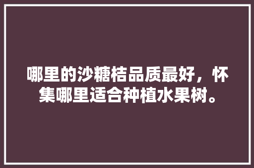 哪里的沙糖桔品质最好，怀集哪里适合种植水果树。 哪里的沙糖桔品质最好，怀集哪里适合种植水果树。 土壤施肥