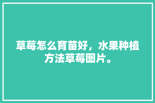 草莓怎么育苗好，水果种植方法草莓图片。 草莓怎么育苗好，水果种植方法草莓图片。 畜牧养殖