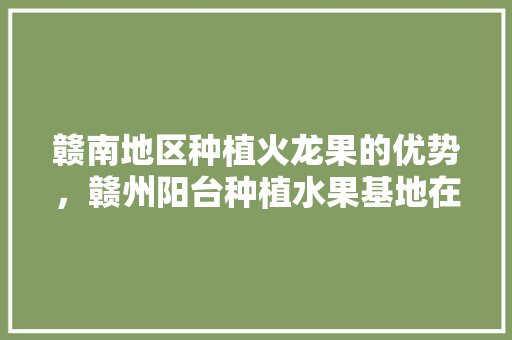 赣南地区种植火龙果的优势，赣州阳台种植水果基地在哪里。 赣南地区种植火龙果的优势，赣州阳台种植水果基地在哪里。 蔬菜种植