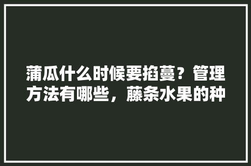 蒲瓜什么时候要掐蔓？管理方法有哪些，藤条水果的种植方法视频。 蒲瓜什么时候要掐蔓？管理方法有哪些，藤条水果的种植方法视频。 土壤施肥