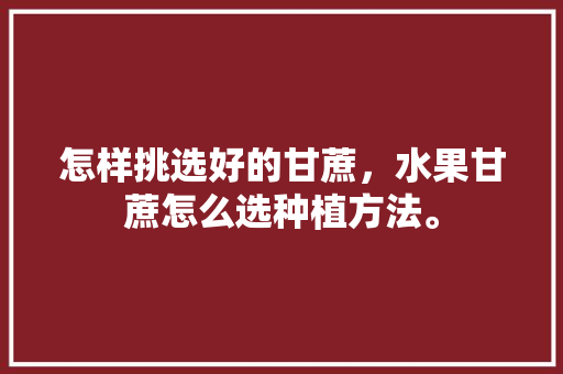 怎样挑选好的甘蔗，水果甘蔗怎么选种植方法。 怎样挑选好的甘蔗，水果甘蔗怎么选种植方法。 蔬菜种植