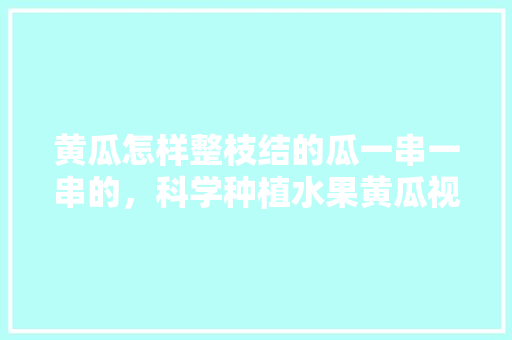 黄瓜怎样整枝结的瓜一串一串的，科学种植水果黄瓜视频教程。 黄瓜怎样整枝结的瓜一串一串的，科学种植水果黄瓜视频教程。 水果种植