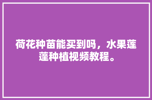 荷花种苗能买到吗，水果莲蓬种植视频教程。 荷花种苗能买到吗，水果莲蓬种植视频教程。 蔬菜种植