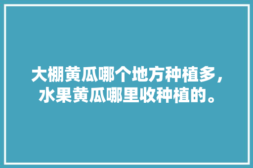 大棚黄瓜哪个地方种植多，水果黄瓜哪里收种植的。 大棚黄瓜哪个地方种植多，水果黄瓜哪里收种植的。 家禽养殖