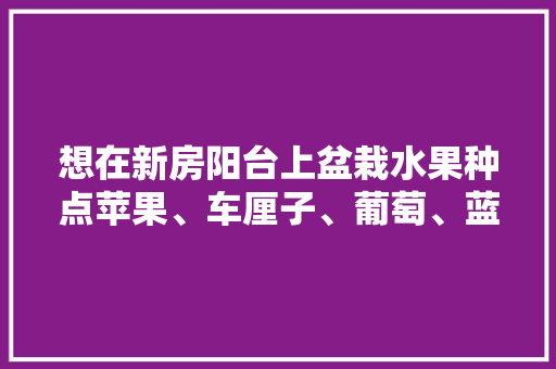 想在新房阳台上盆栽水果种点苹果、车厘子、葡萄、蓝莓，该选择多大的花盆好？该怎么种，高层阳台适合种什么果树。 想在新房阳台上盆栽水果种点苹果、车厘子、葡萄、蓝莓，该选择多大的花盆好？该怎么种，高层阳台适合种什么果树。 家禽养殖