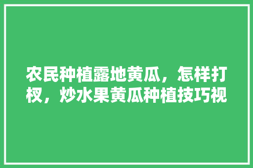 农民种植露地黄瓜，怎样打杈，炒水果黄瓜种植技巧视频。 农民种植露地黄瓜，怎样打杈，炒水果黄瓜种植技巧视频。 家禽养殖