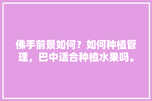 佛手前景如何？如何种植管理，巴中适合种植水果吗。 佛手前景如何？如何种植管理，巴中适合种植水果吗。 蔬菜种植