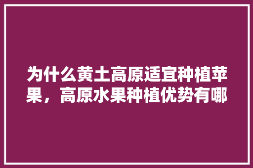 为什么黄土高原适宜种植苹果，高原水果种植优势有哪些。 为什么黄土高原适宜种植苹果，高原水果种植优势有哪些。 畜牧养殖