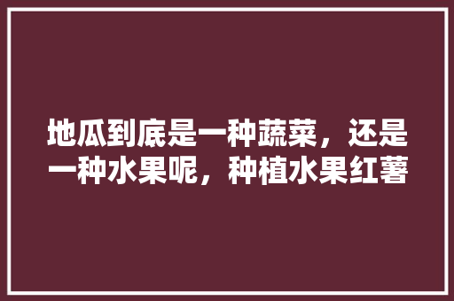 地瓜到底是一种蔬菜，还是一种水果呢，种植水果红薯视频。 地瓜到底是一种蔬菜，还是一种水果呢，种植水果红薯视频。 水果种植