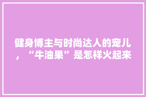 健身博主与时尚达人的宠儿，“牛油果”是怎样火起来的，种植水果 博主文案。 健身博主与时尚达人的宠儿，“牛油果”是怎样火起来的，种植水果 博主文案。 水果种植