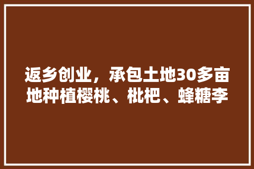 返乡创业，承包土地30多亩地种植樱桃、枇杷、蜂糖李、桃子、八月瓜、无花果，有前途吗，农村种植水果案例视频。 返乡创业，承包土地30多亩地种植樱桃、枇杷、蜂糖李、桃子、八月瓜、无花果，有前途吗，农村种植水果案例视频。 水果种植