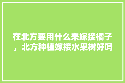 在北方要用什么来嫁接橘子，北方种植嫁接水果树好吗。 在北方要用什么来嫁接橘子，北方种植嫁接水果树好吗。 蔬菜种植