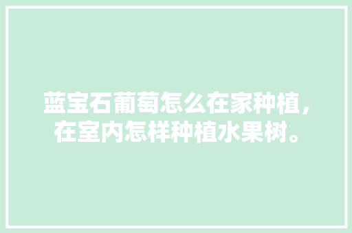 蓝宝石葡萄怎么在家种植，在室内怎样种植水果树。 蓝宝石葡萄怎么在家种植，在室内怎样种植水果树。 家禽养殖