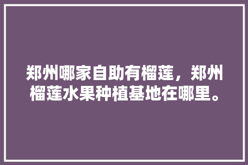 郑州哪家自助有榴莲，郑州榴莲水果种植基地在哪里。 郑州哪家自助有榴莲，郑州榴莲水果种植基地在哪里。 蔬菜种植