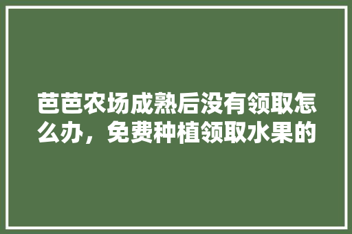 芭芭农场成熟后没有领取怎么办，免费种植领取水果的软件。 芭芭农场成熟后没有领取怎么办，免费种植领取水果的软件。 水果种植