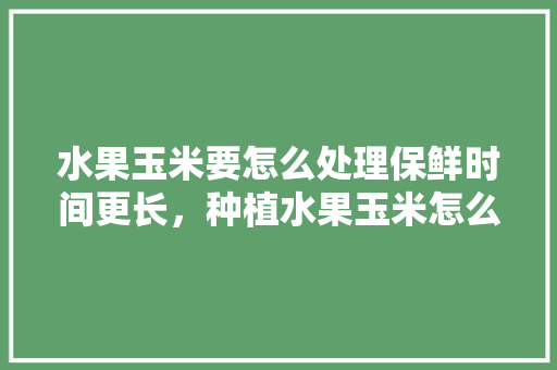 水果玉米要怎么处理保鲜时间更长，种植水果玉米怎么保存时间长。 水果玉米要怎么处理保鲜时间更长，种植水果玉米怎么保存时间长。 家禽养殖