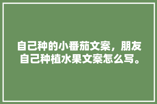 自己种的小番茄文案，朋友自己种植水果文案怎么写。 自己种的小番茄文案，朋友自己种植水果文案怎么写。 水果种植