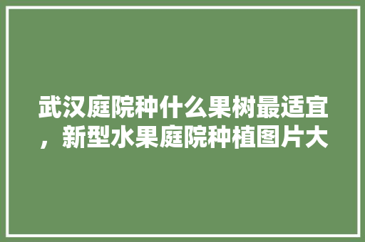 武汉庭院种什么果树最适宜，新型水果庭院种植图片大全。 武汉庭院种什么果树最适宜，新型水果庭院种植图片大全。 家禽养殖