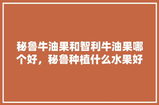 秘鲁牛油果和智利牛油果哪个好，秘鲁种植什么水果好吃。 秘鲁牛油果和智利牛油果哪个好，秘鲁种植什么水果好吃。 水果种植