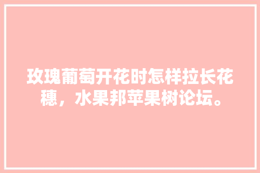 玫瑰葡萄开花时怎样拉长花穗，水果邦苹果树论坛。 玫瑰葡萄开花时怎样拉长花穗，水果邦苹果树论坛。 水果种植