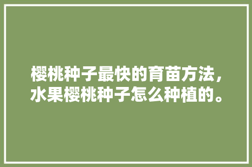 樱桃种子最快的育苗方法，水果樱桃种子怎么种植的。 樱桃种子最快的育苗方法，水果樱桃种子怎么种植的。 蔬菜种植