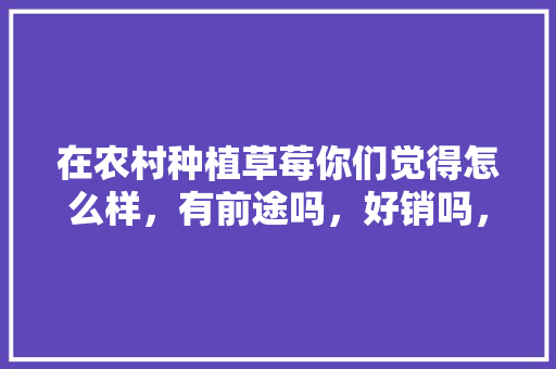 在农村种植草莓你们觉得怎么样，有前途吗，好销吗，水果皇后种植前景如何。 在农村种植草莓你们觉得怎么样，有前途吗，好销吗，水果皇后种植前景如何。 畜牧养殖