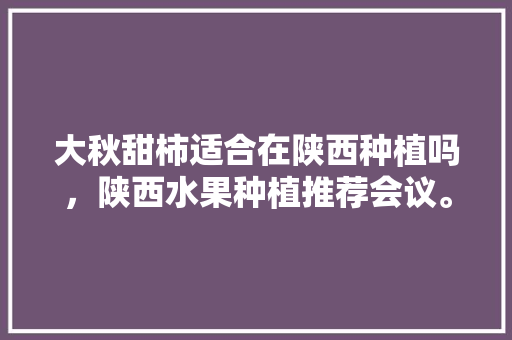 大秋甜柿适合在陕西种植吗，陕西水果种植推荐会议。 大秋甜柿适合在陕西种植吗，陕西水果种植推荐会议。 蔬菜种植