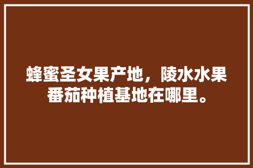 蜂蜜圣女果产地，陵水水果番茄种植基地在哪里。 蜂蜜圣女果产地，陵水水果番茄种植基地在哪里。 蔬菜种植