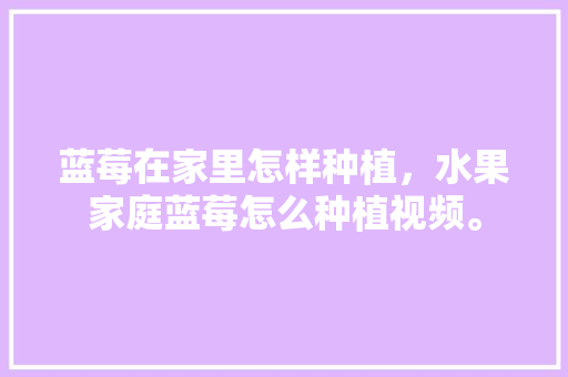 蓝莓在家里怎样种植，水果家庭蓝莓怎么种植视频。 蓝莓在家里怎样种植，水果家庭蓝莓怎么种植视频。 家禽养殖