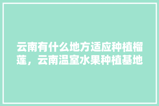 云南有什么地方适应种植榴莲，云南温室水果种植基地在哪里。 云南有什么地方适应种植榴莲，云南温室水果种植基地在哪里。 土壤施肥