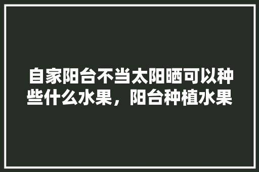 自家阳台不当太阳晒可以种些什么水果，阳台种植水果效果图。 自家阳台不当太阳晒可以种些什么水果，阳台种植水果效果图。 畜牧养殖